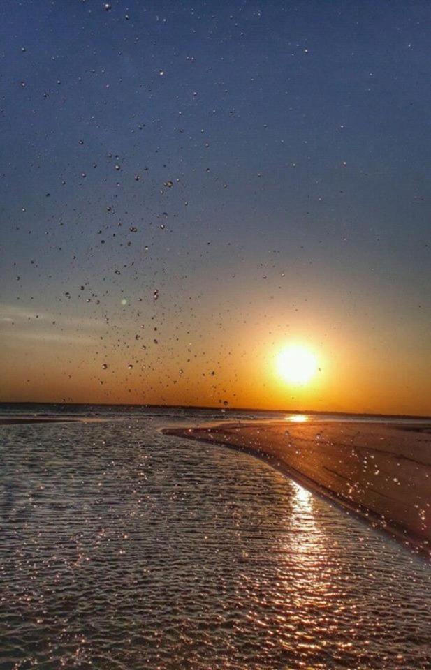 Pousada Praia Mansa - Ana E Agnaldo Superagui Ngoại thất bức ảnh